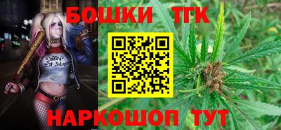 индика Кунгур